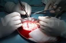 Exitoso primer doble trasplante riñón-páncreas en Vietnam 